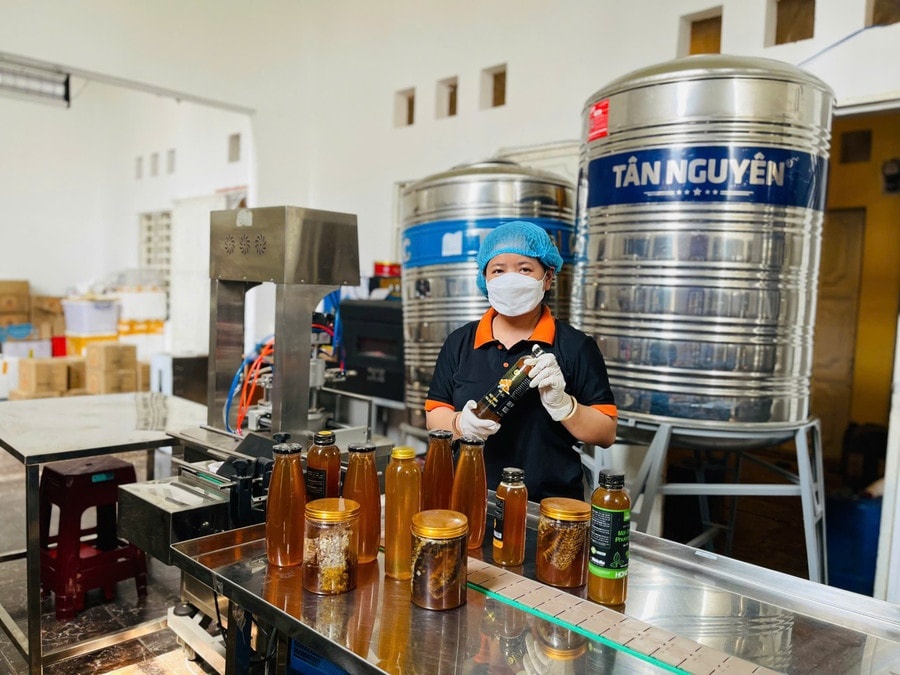 Gia Lai: Hợp tác xã là đòn bẩy sản phẩm OCOP, nâng tầm nông thôn mới 